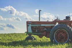 Deadline to File Acreage Reports is July 15 in most states
